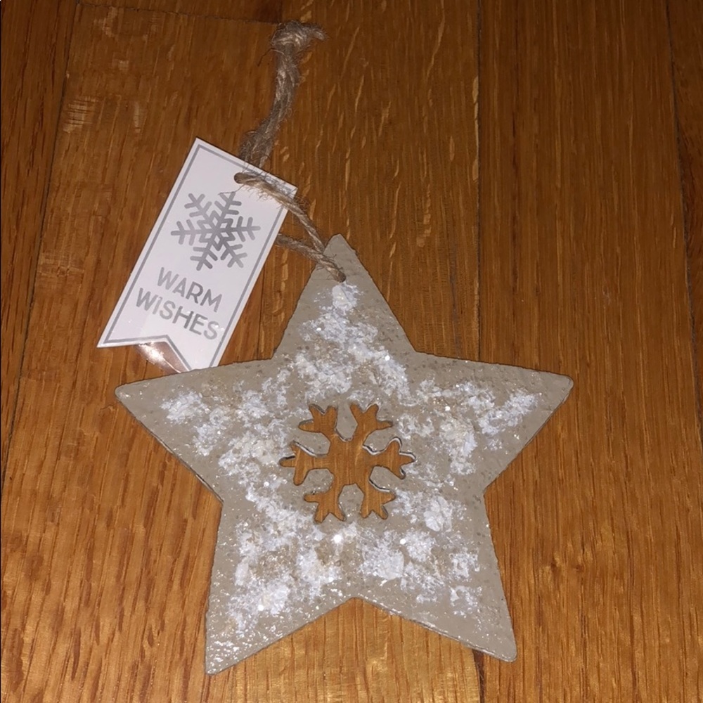 Vintage Winter Star On A Rope